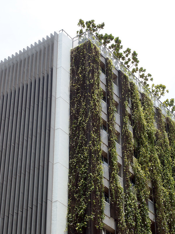 School of the Arts
