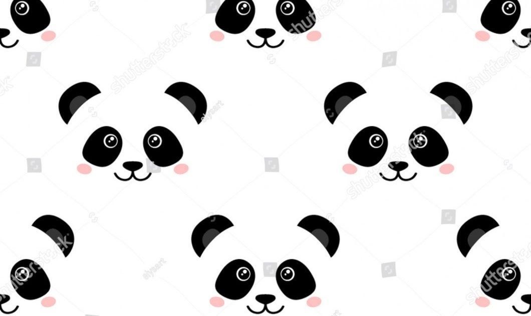 Gambar Kartun  Panda  Lucu Untuk Wallpaper  Hp  DOKUMEN PAUD 