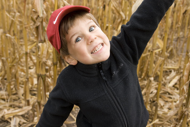 cornmaze-olivergoofball