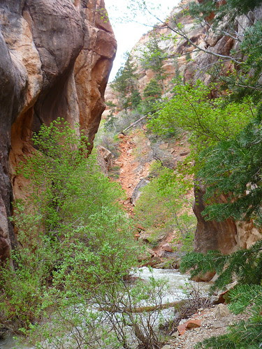 05.10.11 Kanarra Creek