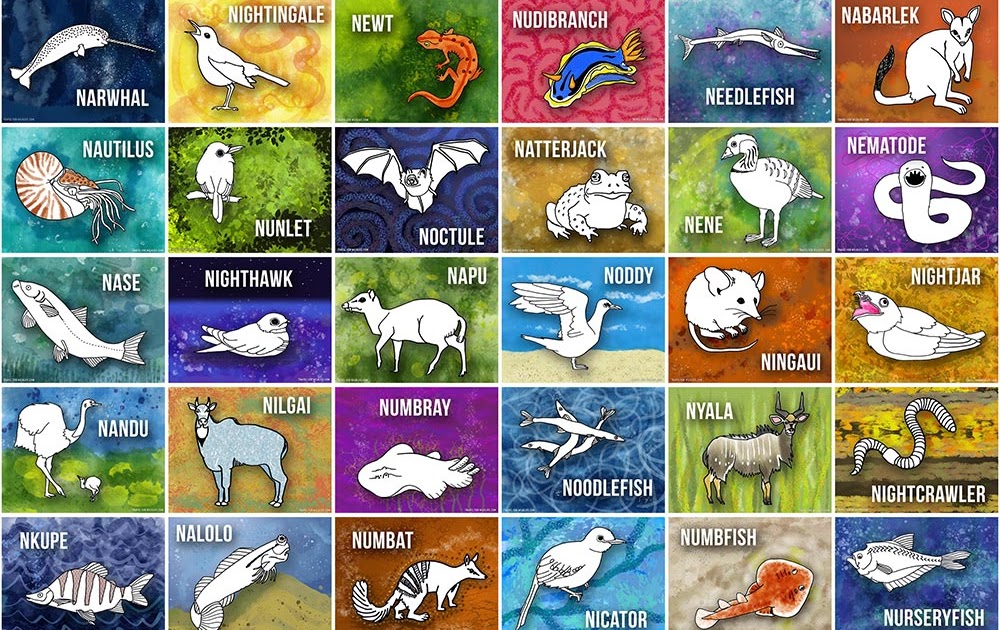 Pictures Of Animals That Start With The Letter I - PictureMeta
