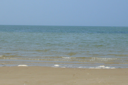 Great Island1