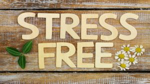 Stress free written with wooden letters on rustic wood
