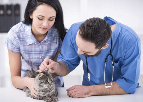 10 razones para salir con un veterinario o veterinaria