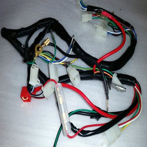 Taotao 50 Ignition Wiring Diagram : Wiring Diagram For Tao Tao 150cc