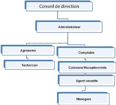 Exemple De Business Plan Agricole Rédigé Pdf  hadiselamet