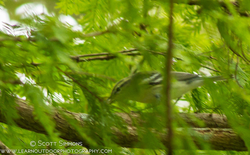 Photo & Video Sharing by SmugMug Photo & Video Sharing by SmugMug