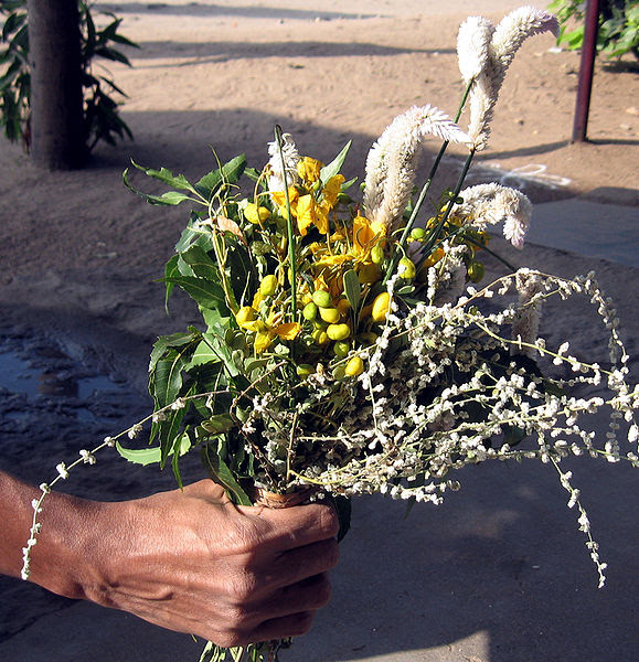 படிமம்:Festival crop India pongal Tamil word 14.jpg