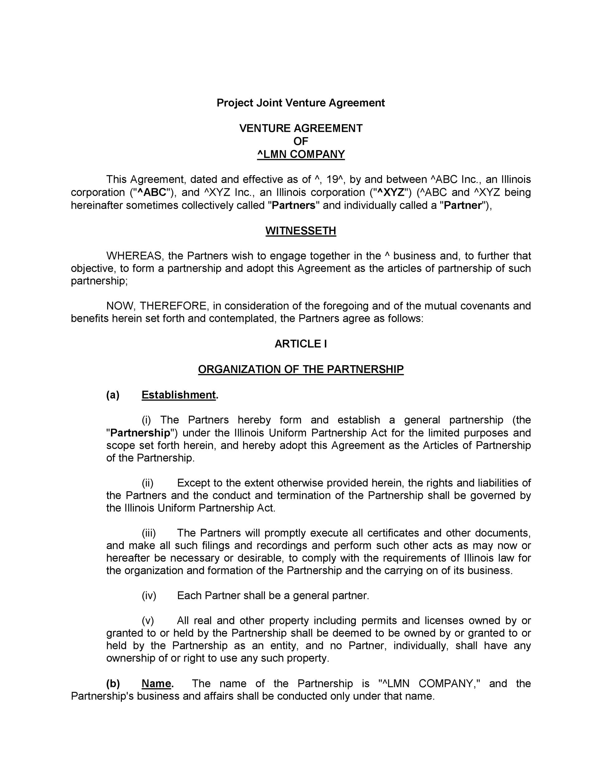 Non Profit Partnership Agreement Template PDF Template