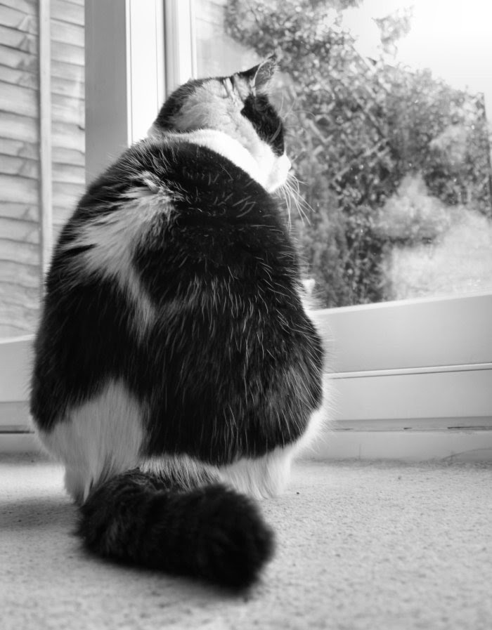 Does my bum look big in this?