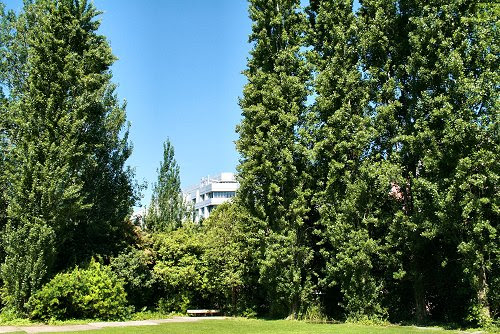 20100603-vs-9380