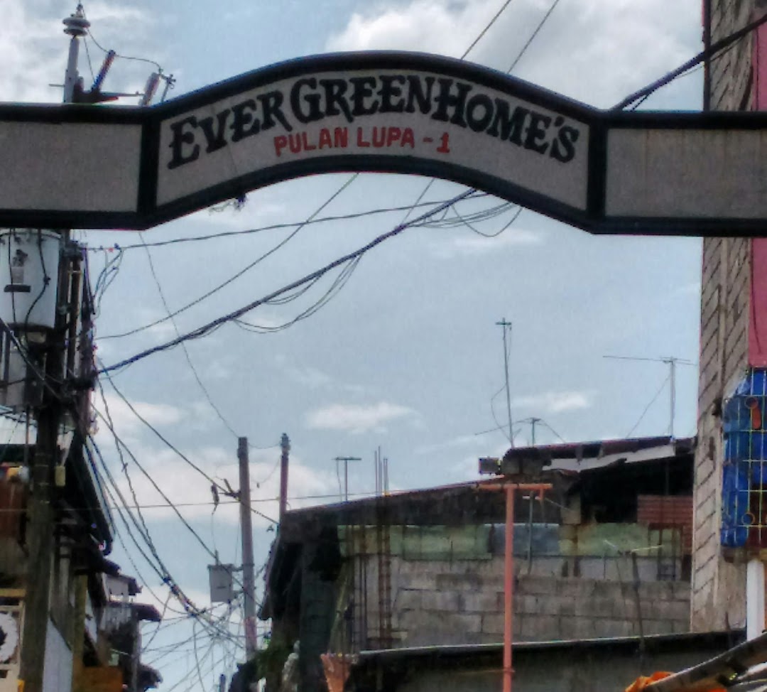 Ever Green Homes