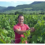 On a dégusté la fine fleur des vins de Savoie: nos conseils