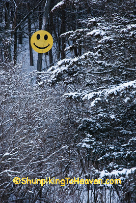 December Smiley Face, Sauk County, Wisconsin