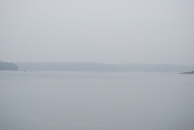 DSC_1327