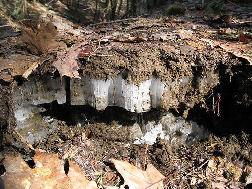 Crossingham Road Farm Trails