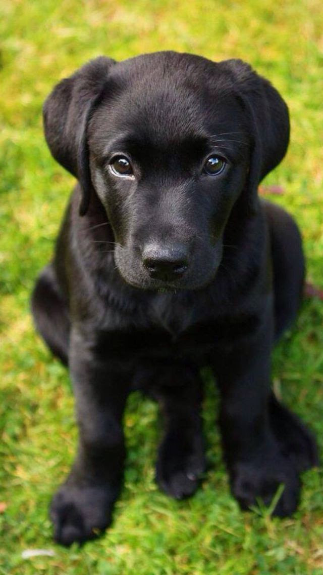 Too cute!