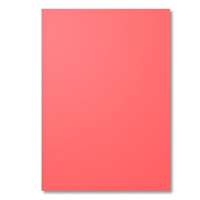 Watermelon Wonder A4 Cardstock by Stampin' Up!
