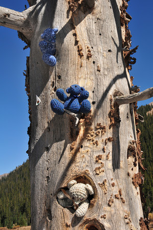 Bears in Beartown Bears in Beartown