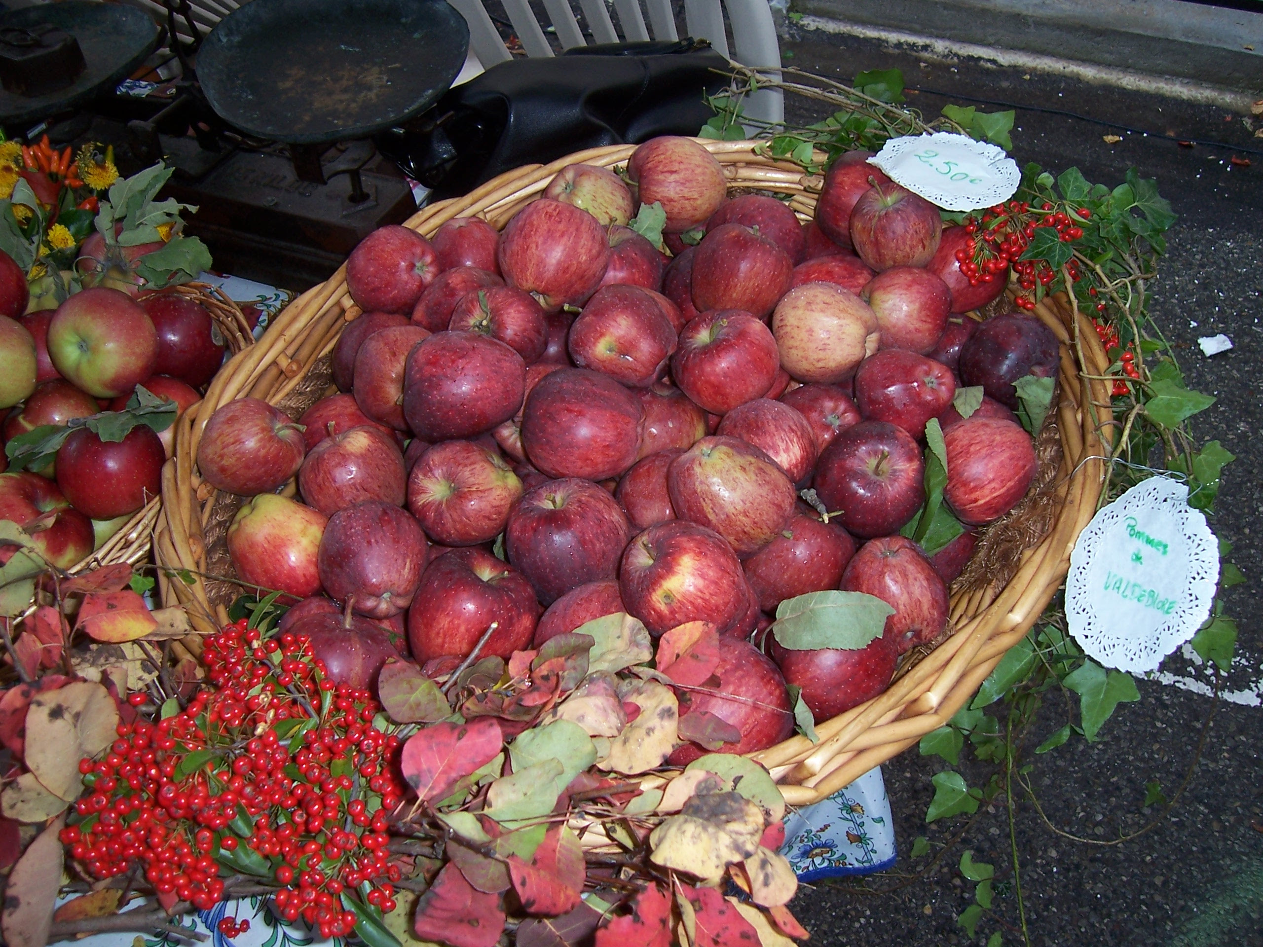 Fruits d'automne : panier de pommes rouges

