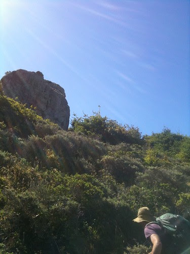 Hiking in Marin with Hall Newbegin
