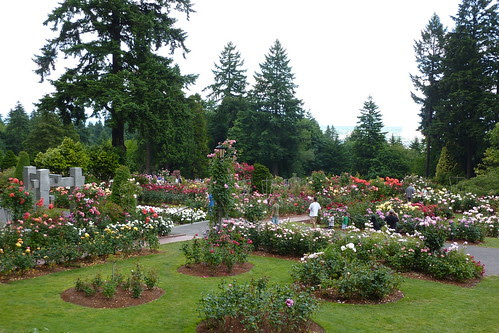 Places To Visit In Portland, Oregon - Totorus