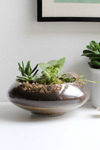 diy terrarium, craft, uk, blogger