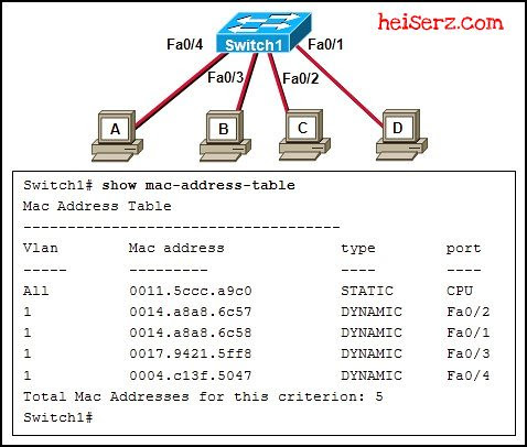 ENetwork Final Exam CCNA 1 4.0 2012 2013 100% 6632756429 e275c494a9 z ENetwork Final Exam CCNA 1 4.0 2012 2013 100%