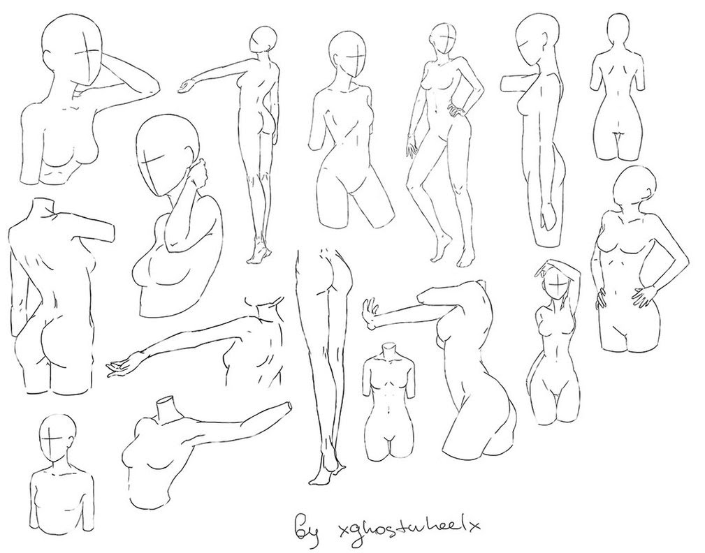 Featured image of post Woman Bust Drawing Reference