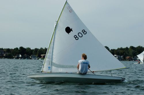 sunfish sailboat racing