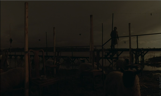 photo c9a66b75-8781-4ebb-b9d2-f0adee5a048b_zps9b761d26.png