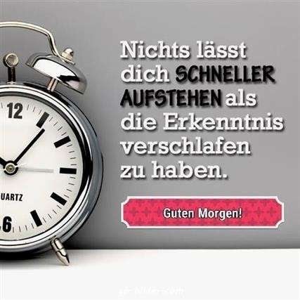 Lustige Bilder Verschlafen Guten Bilder Verschlafen Gb Bilder