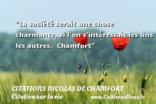 Gratuit Citation Sur La Vie En Société FraisCitation