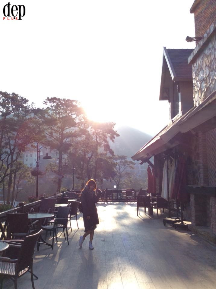 Có một Tam Đảo thơ mộng không kém gì Hàn Quốc trong những ngày nắng rực rỡ cuối năm