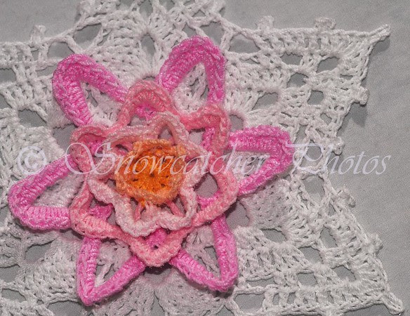 Water Lily Snowflake Water Lily Snowflake