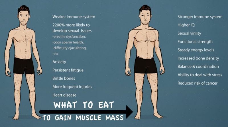 Protein