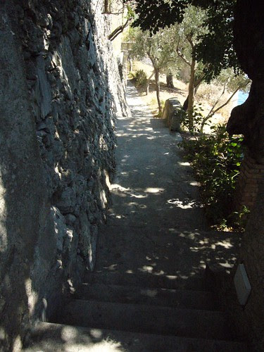 down the path