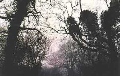 claphamwood claphamwood