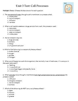 Biology Form 5 Chapter 2 Questions And Answers  paperexampl