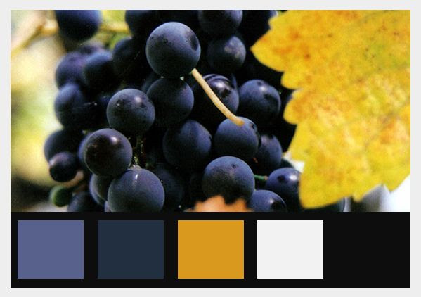 http://www.pinterest.com/pin/174162710561279949/ Fall Grapes, color theme