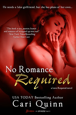No Romance Required (Love Required, #3)