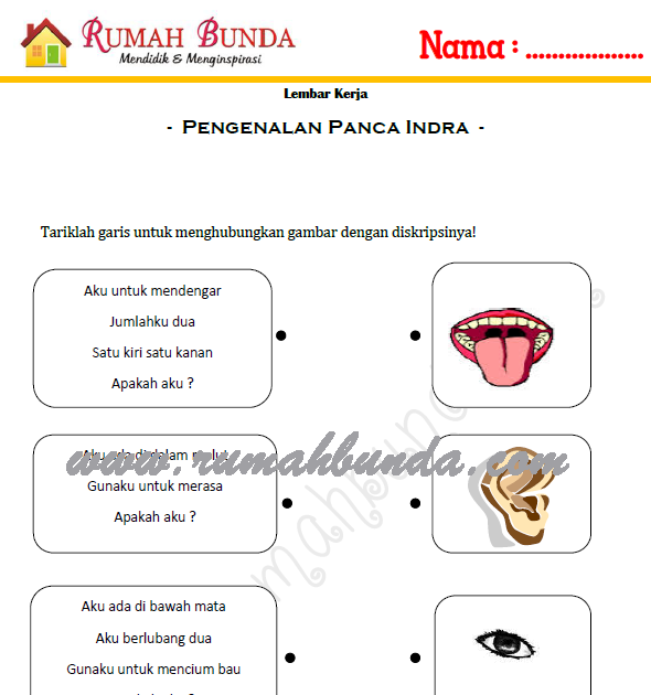 Contoh Narrative Text Bahasa Inggris Cinderella Barisan