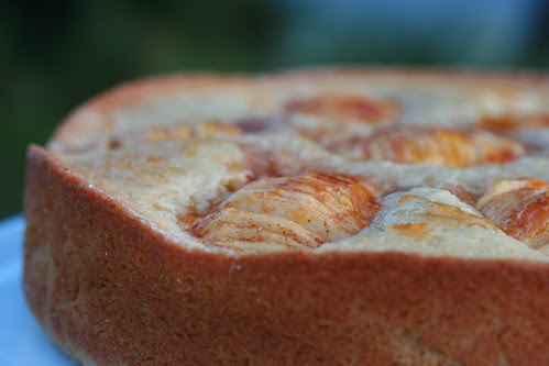 Donna Hay Apple and Cinnamon Tea Cake