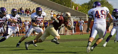 Bobcats_5