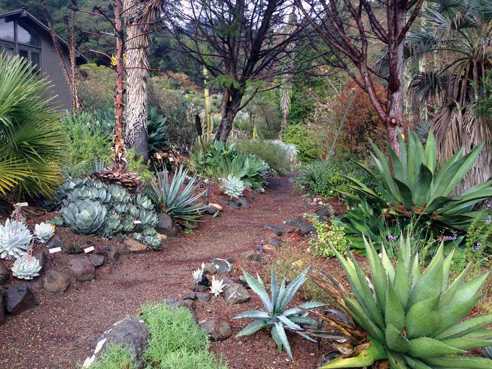 Berkeley Botanical Garden Membership Home Garden