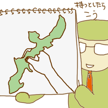 20100113沖縄旅行記4.gif
