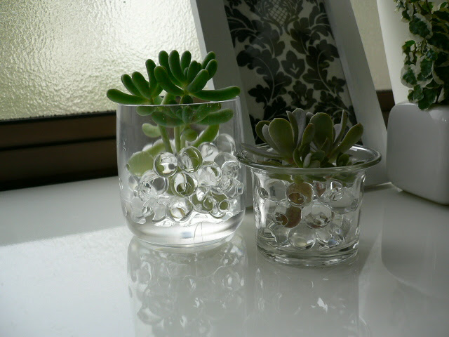 すべての美しい花の画像 ラブリージェル ポリマー 植物
