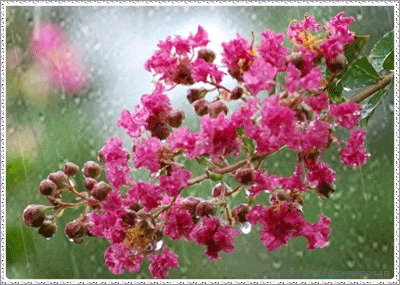 6789_0_rain_03