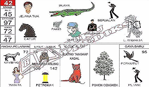 Erek Erek Buat Kolam Ikan Kolama