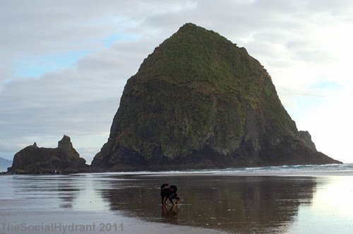 cannonbeach2
